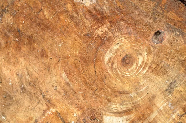 Texture Pezzi Legno — Foto Stock