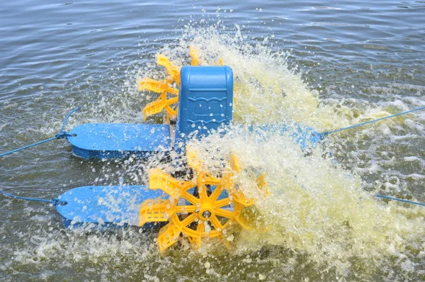 Roda Água Azul Amarelo Uma Lagoa Camarão — Fotografia de Stock