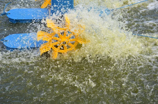 Roda Água Azul Amarelo Uma Lagoa Camarão — Fotografia de Stock