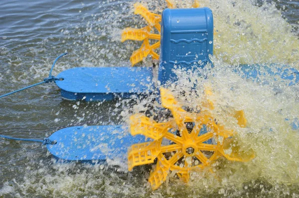 Niebieski Żółty Waterwheel Staw Krewetki — Zdjęcie stockowe