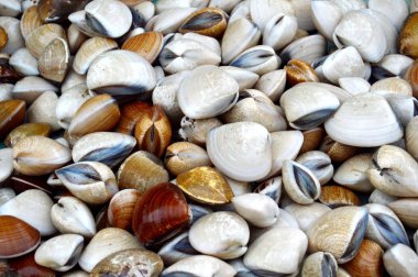 desen textyred kapaklı arka plan