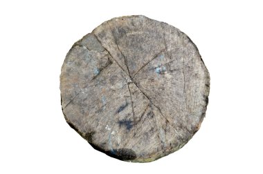 Ağaç Gövdesi Beyaz Arkaplanda İzole Edildi