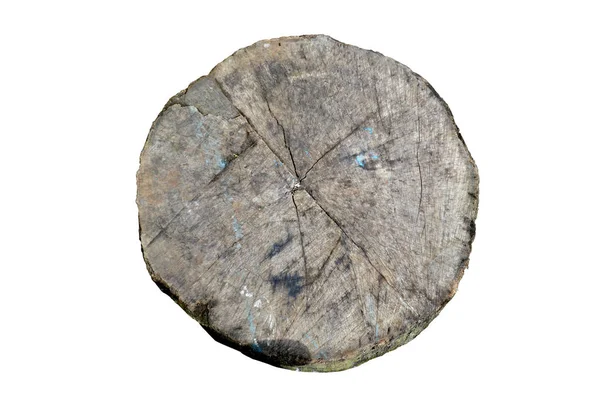 Ağaç Gövdesi Beyaz Arkaplanda İzole Edildi