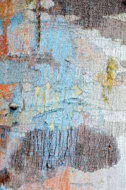 ayrıntılı ağaç gövde doku arka plan