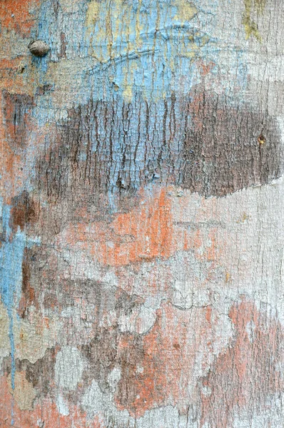 Подробный Фон Текстуры Ствола Дерева — стоковое фото