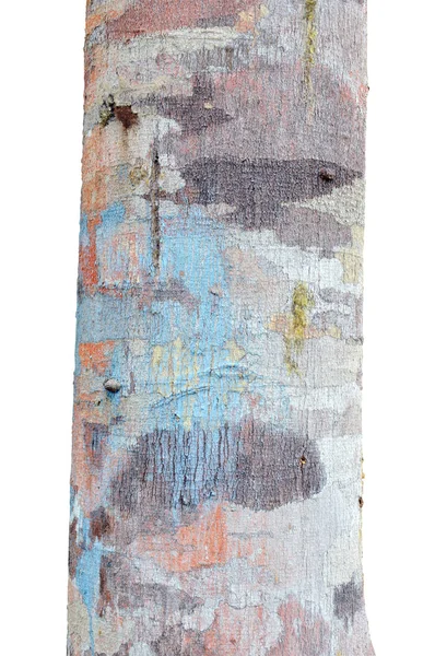 Деревянный Ствол Изолированный Белом Фоне — стоковое фото