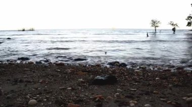 dalgalar deniz plaj buzlu