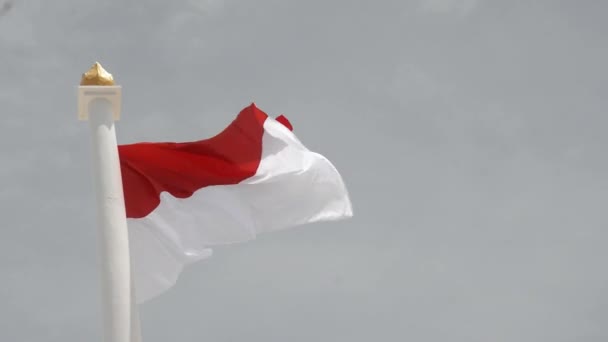 Bandera Indonesia Ondeaba Contra Cielo — Vídeo de stock