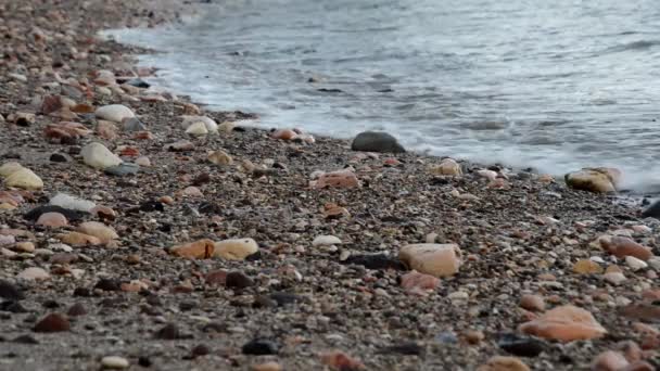 Ondas Mar Nas Rochas Praia — Vídeo de Stock