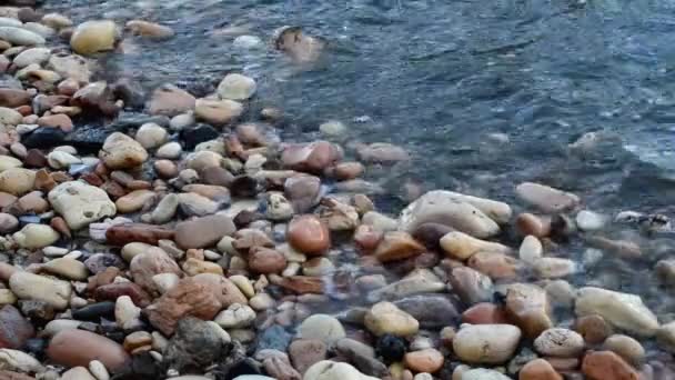 Havets Vågor Stranden Klipporna — Stockvideo