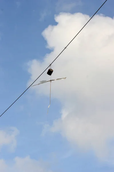 Papagaio partido — Fotografia de Stock