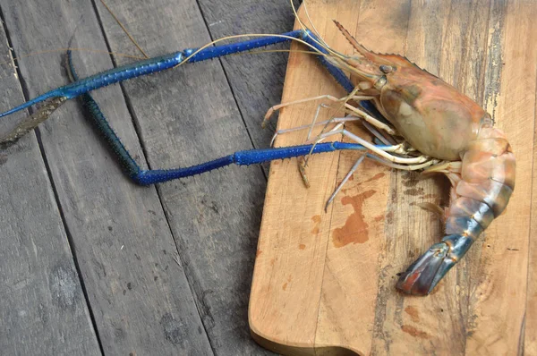 Gambero gigante del fiume — Foto Stock