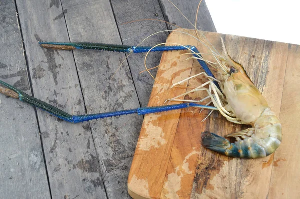 Gambero gigante del fiume — Foto Stock