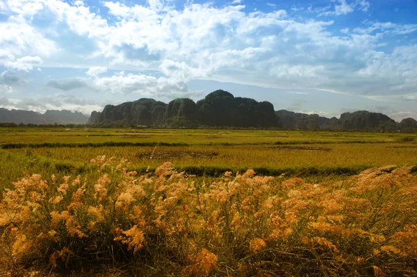 Pueblo panaroma en Sulawesi del Sur — Foto de Stock