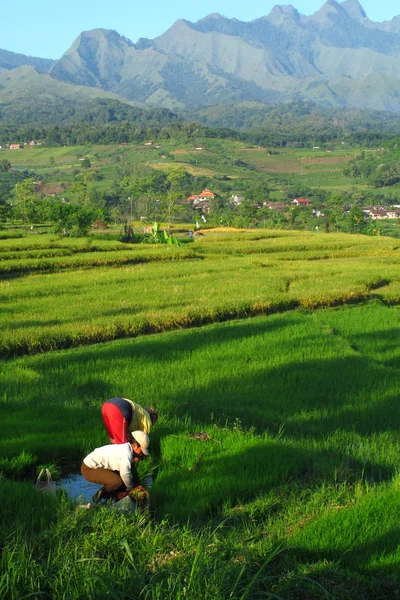 Aldeia — Fotografia de Stock