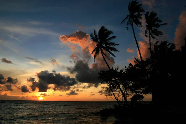 Silhouette Palmier Sur Fond Soleil Tropical — Photo