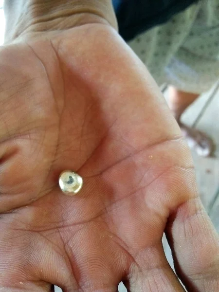 Madende bulunan saf altın cevheri ellerde. 