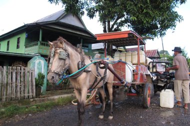BARRU - INDONEZYA, 17 NİSAN 2013, temiz su bidonları taşıyan at arabası