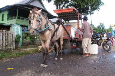 BARRU - INDONEZYA, 17 NİSAN 2013, temiz su bidonları taşıyan at arabası