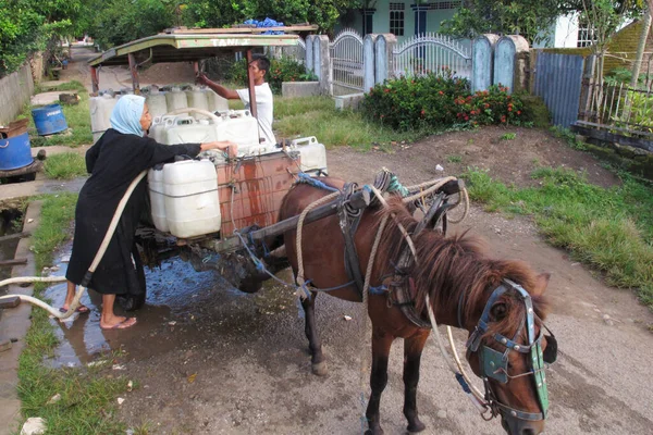 Barru Indonésia Abril 2013 Carruagem Cavalos Transportando Latas Água Limpa — Fotografia de Stock