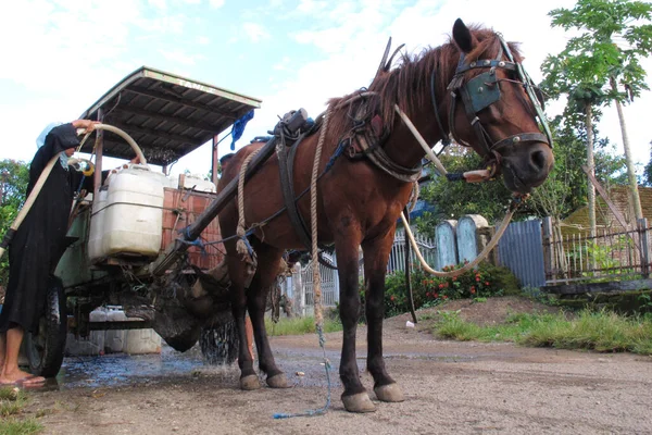 Barru Indonesia 17E April 2013 Paardenkoets Met Jerrycans Schoon Water — Stockfoto