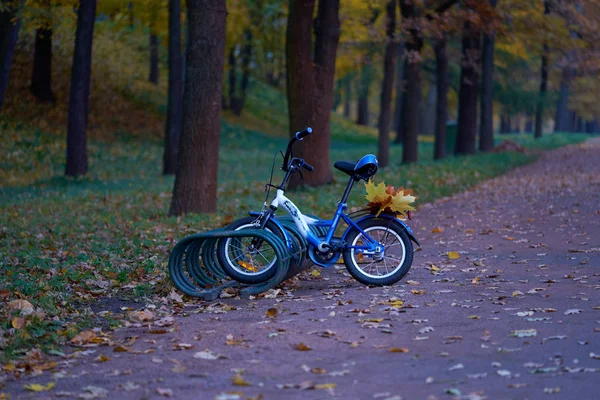 Autumn leaves on the baby bike in the park