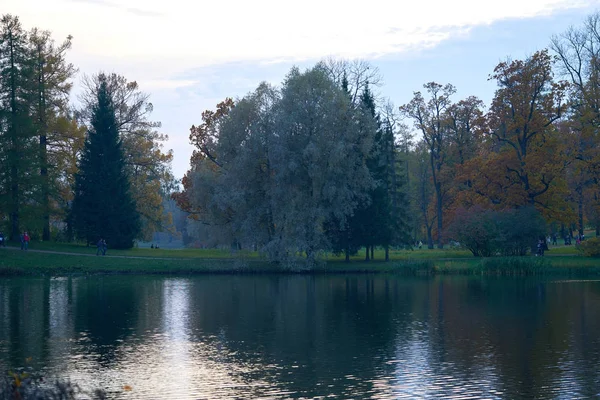 Podzimní Stromy Rybníka Parku — Stock fotografie