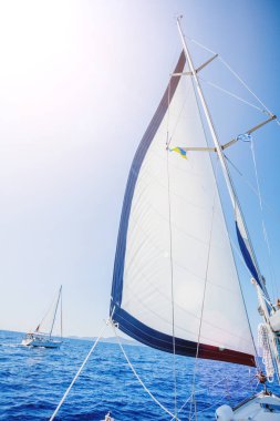 Rüzgarda yelken açan bir yatın yelkenleri