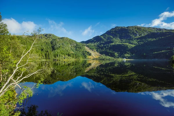 フィヨルドと山々 の素晴らしい自然の風景。美しい反射. — ストック写真