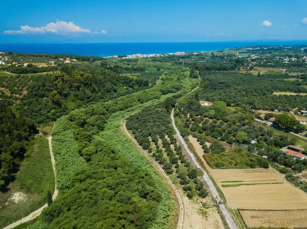 Luftaufnahme von Olivenbäumen auf einem Feld in Griechenland — Stockfoto