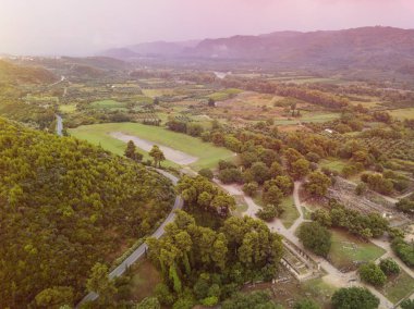 Yunanistan'da bir alandaki zeytin ağaçlarının havadan görünümü