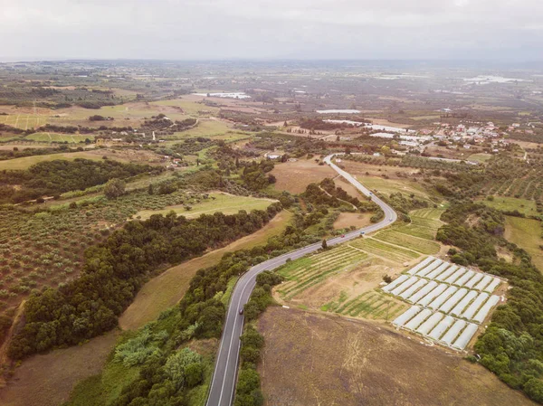 Vista aérea de oliveiras em um campo na Grécia — Fotografia de Stock