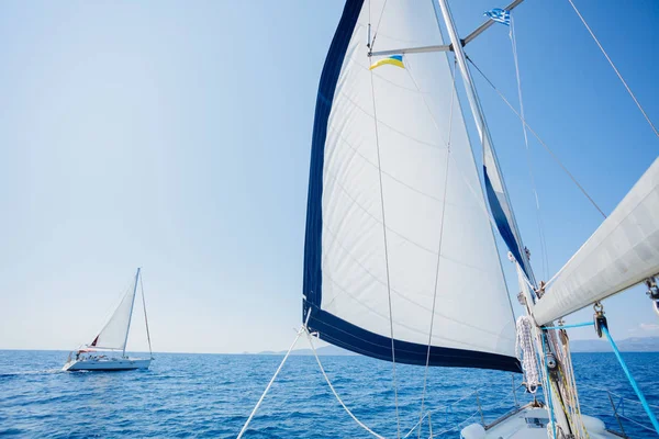 Yelkenli. Açık denizde beyaz yelkenli gemi yatları.
