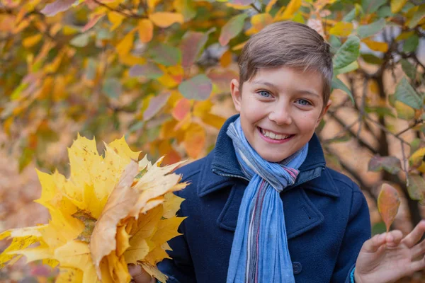 Portret van mooi kind jongen in de herfst aard — Stockfoto