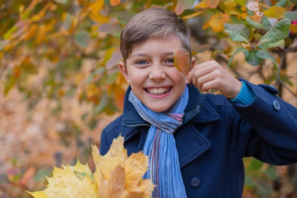 Portrét krásné dítě chlapce v podzimní přírodě — Stock fotografie