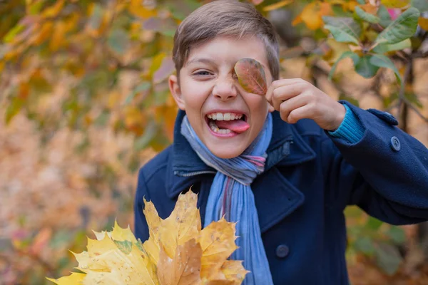Porträtt av vackra barn pojke i höstens natur — Stockfoto