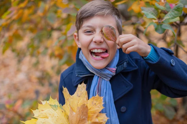 Portrait of beautiful child boy in the autumn nature — Stock Photo, Image