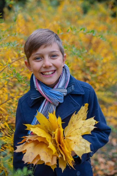 Retrato de niño hermoso en la naturaleza de otoño — Foto de Stock