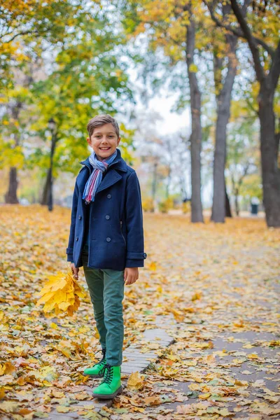 Όμορφο παιδί αγόρι στη φθινοπωρινή φύση — Φωτογραφία Αρχείου