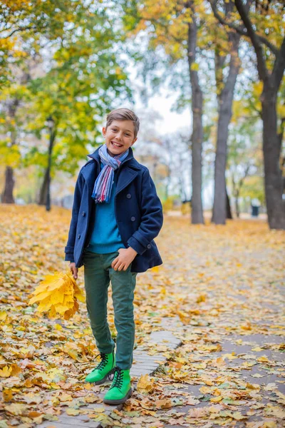 Niño hermoso en la naturaleza de otoño —  Fotos de Stock