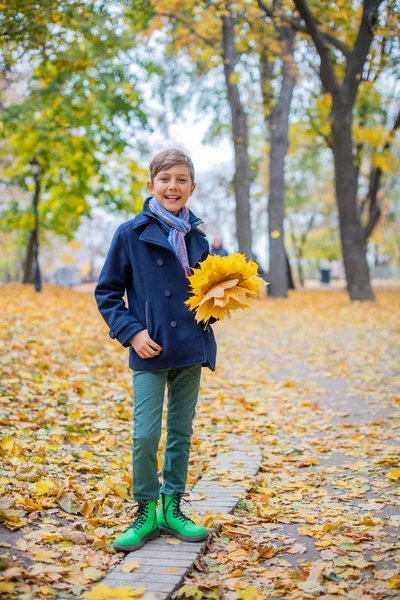 Mooi kind jongen in de herfst aard — Stockfoto