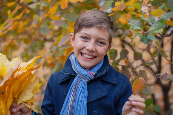 Retrato de niño hermoso en la naturaleza de otoño — Foto de Stock