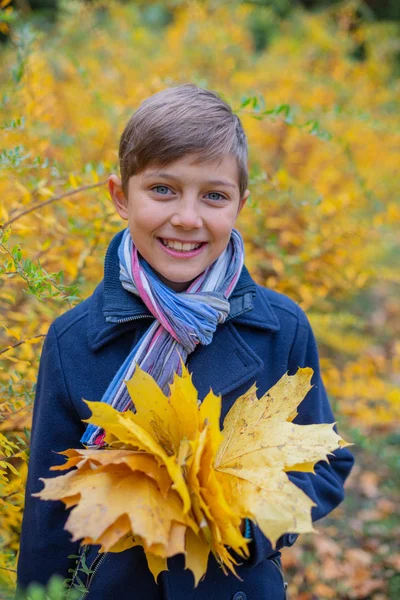 Retrato de niño hermoso en la naturaleza de otoño — Foto de Stock
