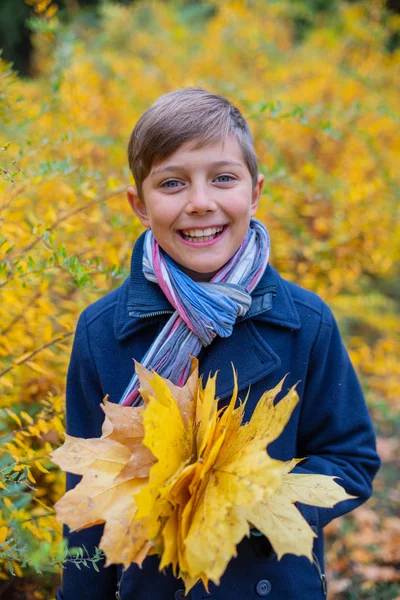 Portret van mooi kind jongen in de herfst aard — Stockfoto