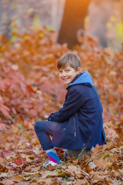 Mooi kind jongen in de herfst aard — Stockfoto