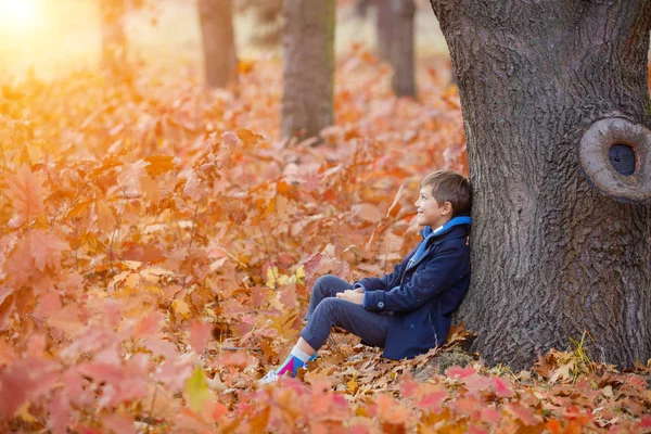 Krásné dítě chlapec v podzimní přírodě — Stock fotografie
