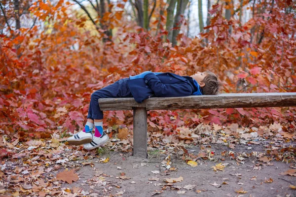 Gyönyörű gyermek fiú az őszi természet — Stock Fotó