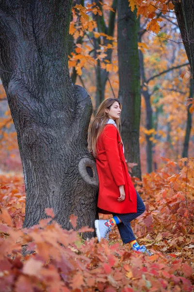 Bella ragazza adolescenti nella natura autunnale — Foto Stock