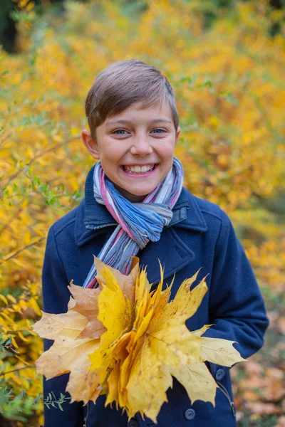 Retrato de niño hermoso en la naturaleza de otoño — Foto de Stock