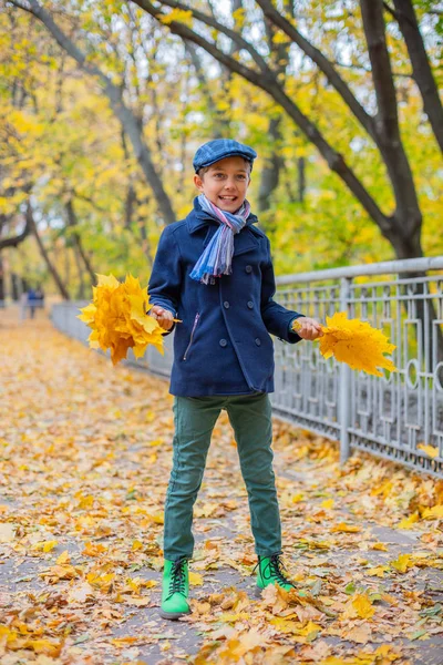 Mooi kind jongen in de herfst aard — Stockfoto